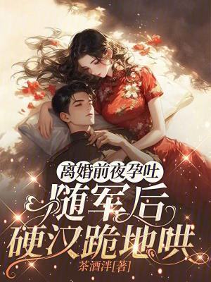 离婚前夜孕吐，随军后硬汉跪地哄